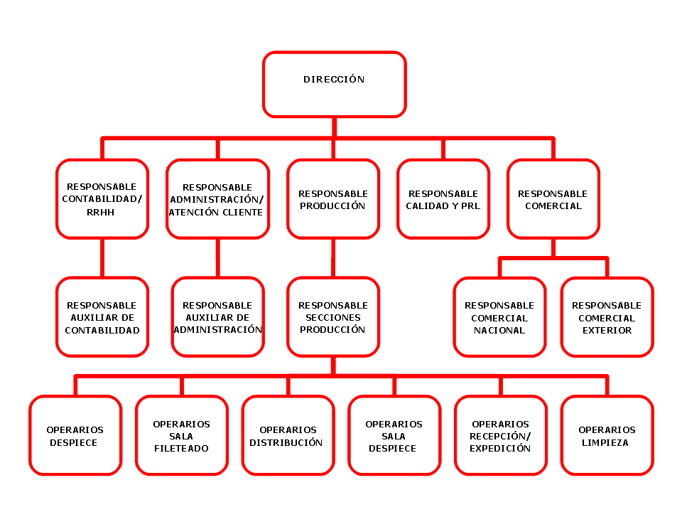 esquema drominia 2019